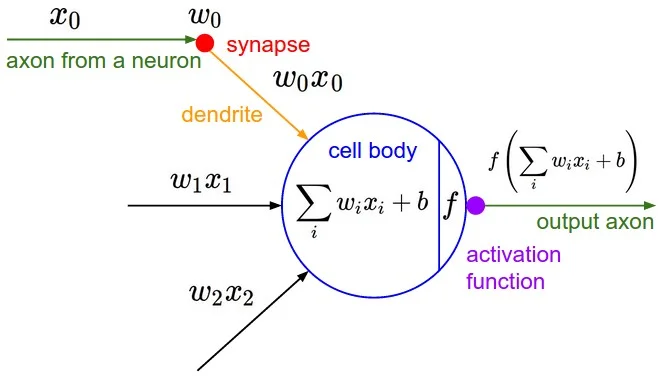 Modelo matemático de una neurona artificial: inputs x0, x1, x2 multiplicados por pesos w0, w1, w2, sumados en el cell body junto a un bias, y pasados por una función de activación f